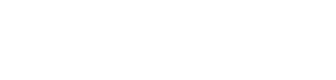 IMEX 25 Logo - 1155 x 275