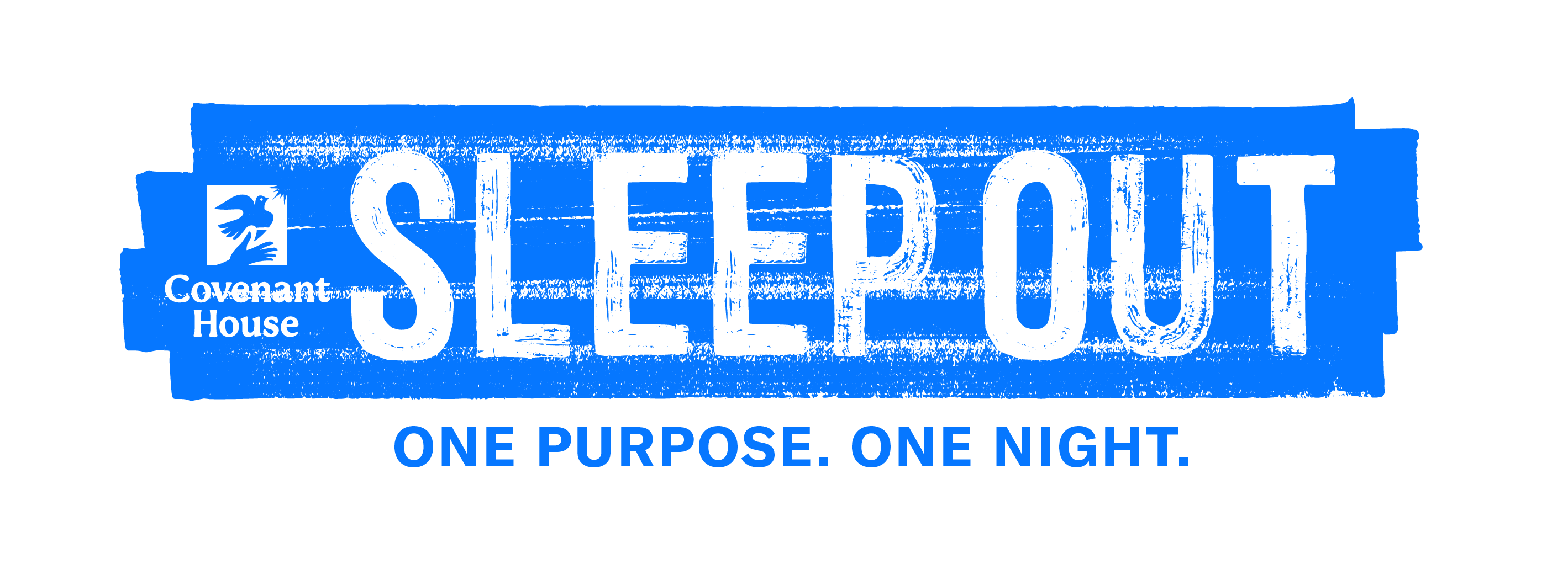 Covenant House Sleep Out